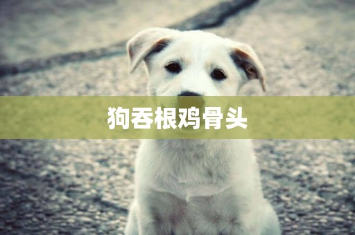 狗吞根雞骨頭