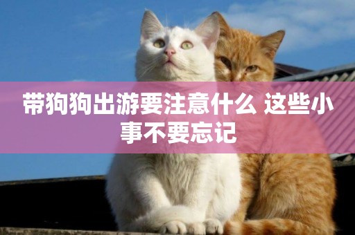 帶狗狗出游要注意什么 這些小事不要忘記