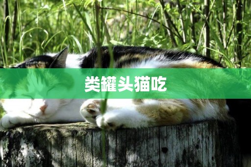 類罐頭貓吃