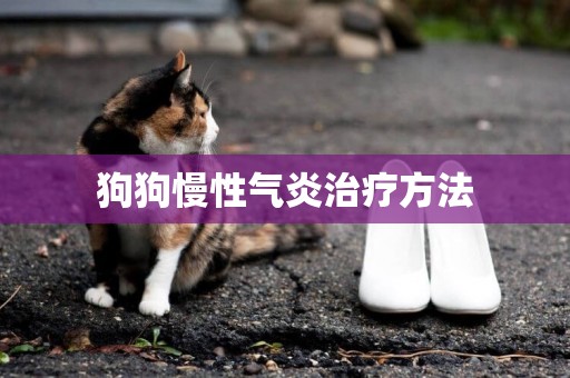 狗狗慢性氣炎治療方法