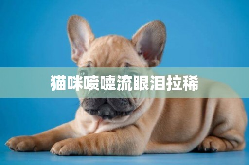 貓咪噴嚏流眼淚拉稀
