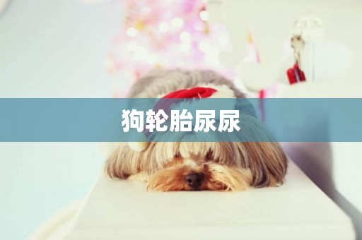 狗輪胎尿尿