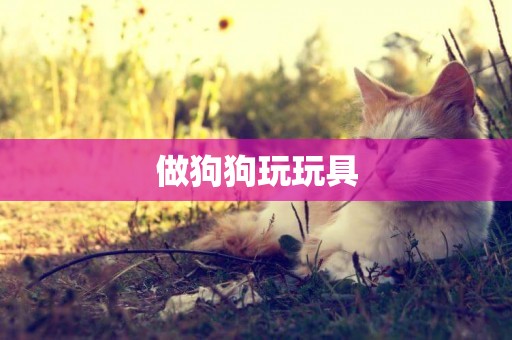 做狗狗玩玩具