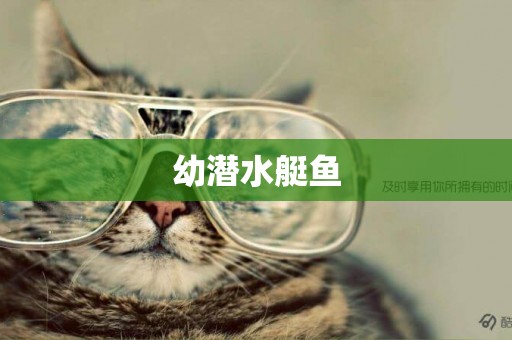 幼潛水艇魚