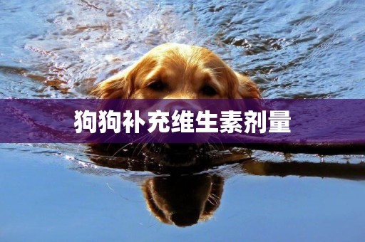 狗狗補充維生素劑量