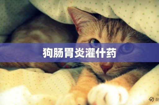 狗腸胃炎灌什藥