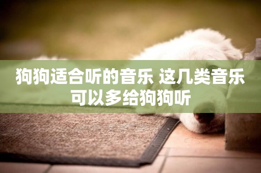 狗狗適合聽的音樂 這幾類音樂可以多給狗狗聽