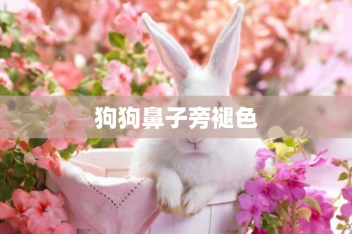 狗狗鼻子旁褪色