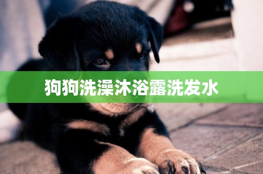 狗狗洗澡沐浴露洗發水
