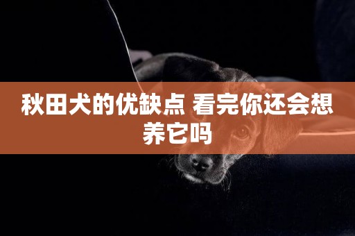 秋田犬的優缺點 看完你還會想養它嗎