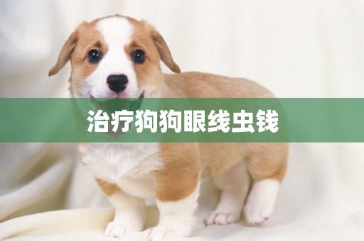 治療狗狗眼線蟲錢