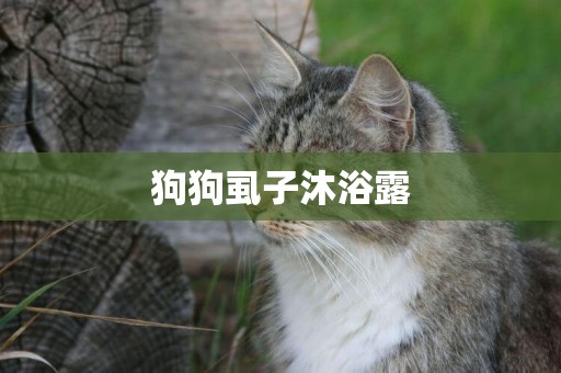 狗狗虱子沐浴露