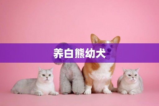 養白熊幼犬