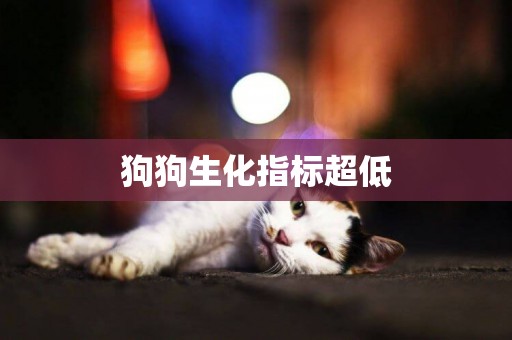 狗狗生化指標超低