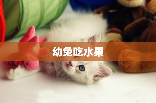 幼兔吃水果
