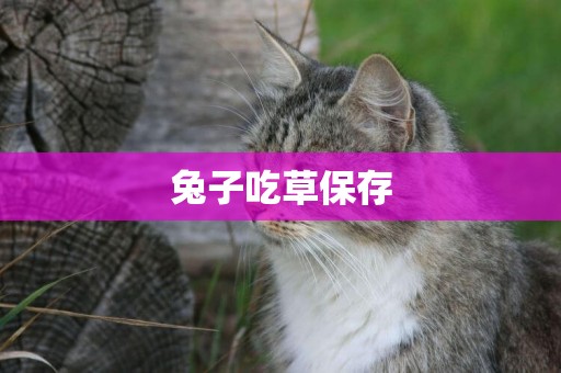 兔子吃草保存