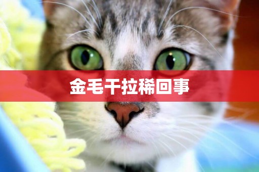 金毛干拉稀回事