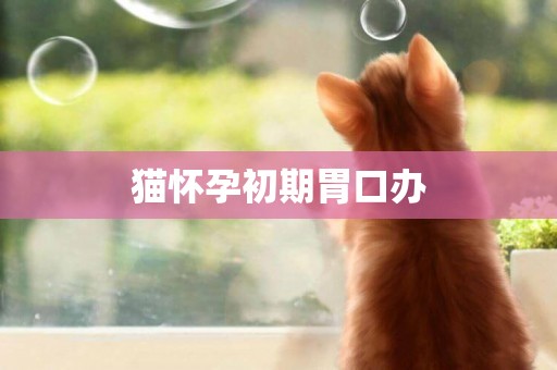 貓懷孕初期胃口辦