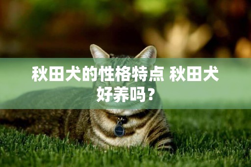 秋田犬的性格特點 秋田犬好養嗎？