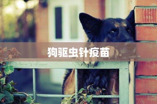 狗驅蟲針疫苗