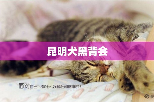 昆明犬黑背會