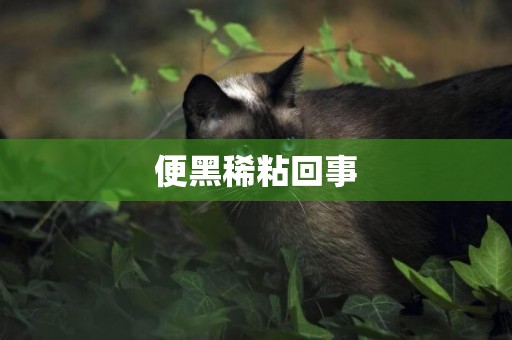 便黑稀粘回事