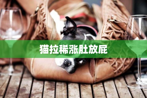 貓拉稀漲肚放屁