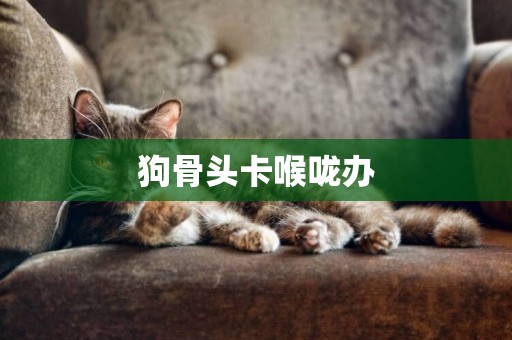 狗骨頭卡喉嚨辦