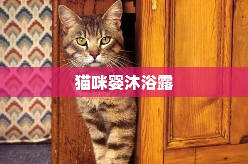 貓咪嬰沐浴露