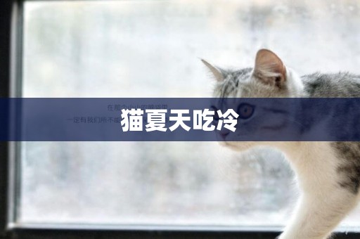 貓夏天吃冷