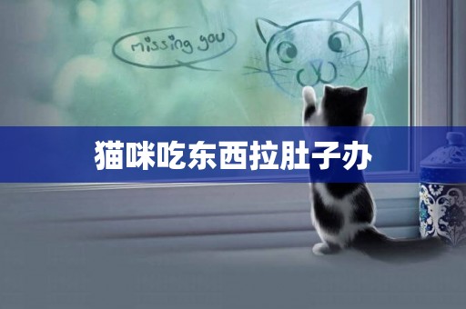 貓咪吃東西拉肚子辦