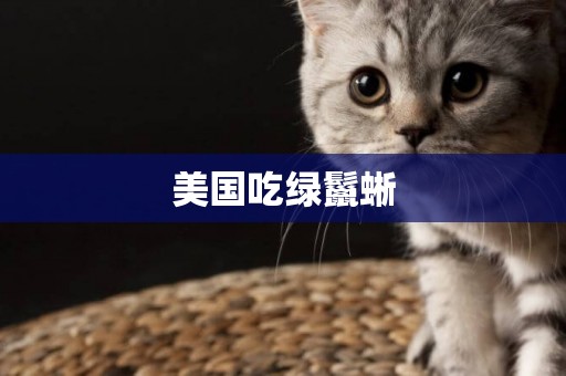 美國吃綠鬣蜥