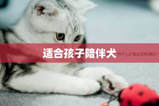 適合孩子陪伴犬
