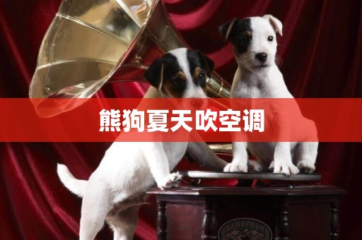 熊狗夏天吹空調