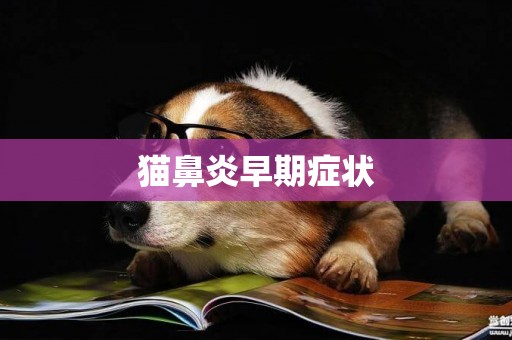 貓鼻炎早期癥狀