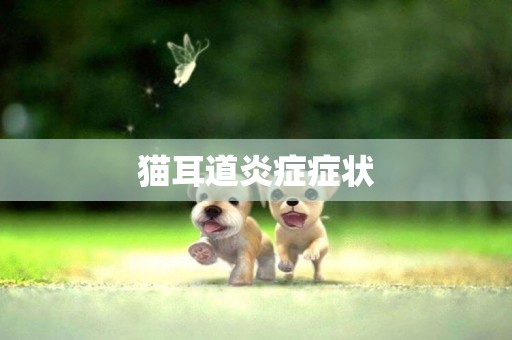 貓耳道炎癥癥狀