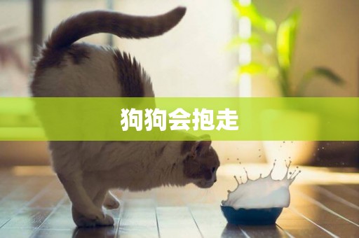 狗狗會抱走