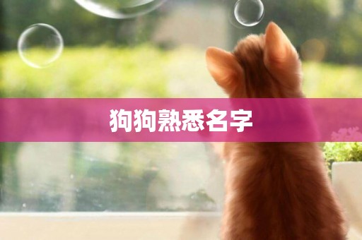 狗狗熟悉名字