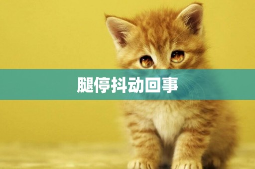 腿停抖動回事