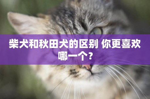 柴犬和秋田犬的區別 你更喜歡哪一個？