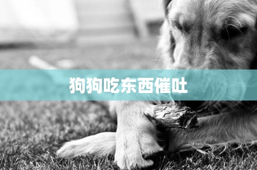 狗狗吃東西催吐
