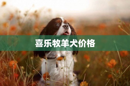 喜樂牧羊犬價格