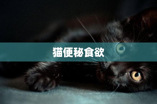 貓便秘食欲