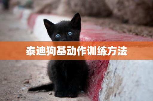 泰迪狗基動作訓練方法
