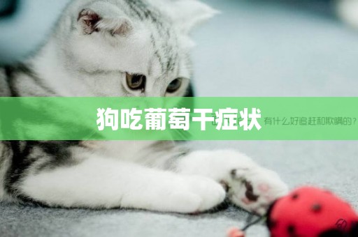 狗吃葡萄干癥狀