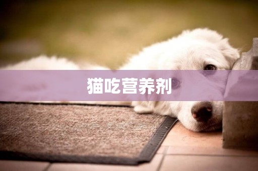 貓吃營養劑
