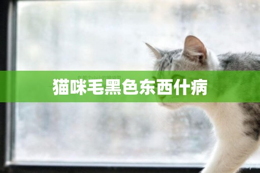 貓咪毛黑色東西什病