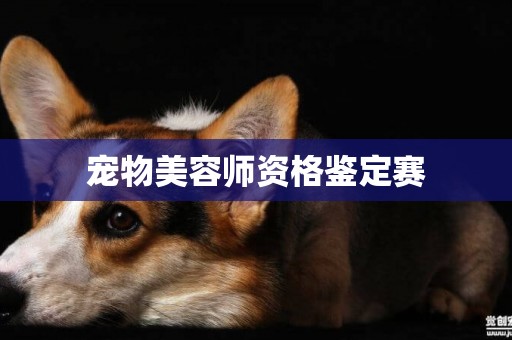 寵物美容師資格鑒定賽