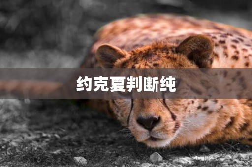 約克夏判斷純