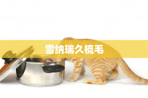 雪納瑞久梳毛